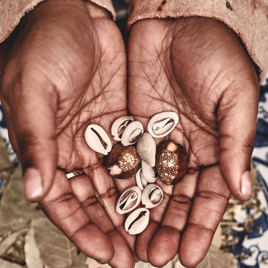 Cowrie Shell Meaning & Symbolism, Jewelry