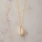 Single cowrie shell suspended from a 14k gold filled chain necklace.