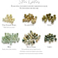 Petite Jade Necklace